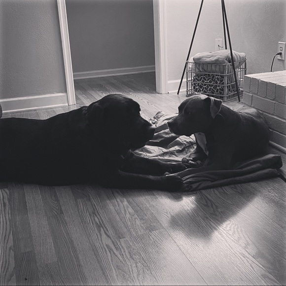 A little about 𝓜𝓔 💕💞 - Picture 5 of 15